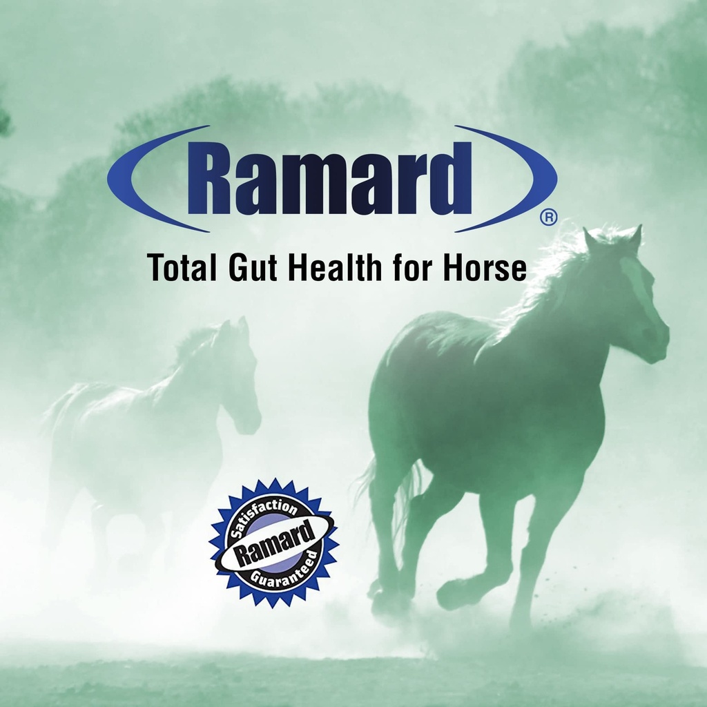 ramard-total-gut-health-equine-digestive-6.jpg