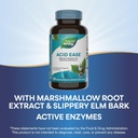 natures-way-acid-ease-digestion-formula--4.jpg