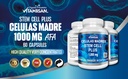 vitamisan-celulas-madres-cell-plus-1000--5.jpg
