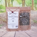 health-embassy-purple-coneflower-herb-ec-2.jpg
