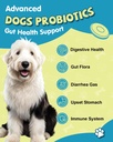 eagou-diary-probiotics-for-dogs---dog-pr-2.jpg