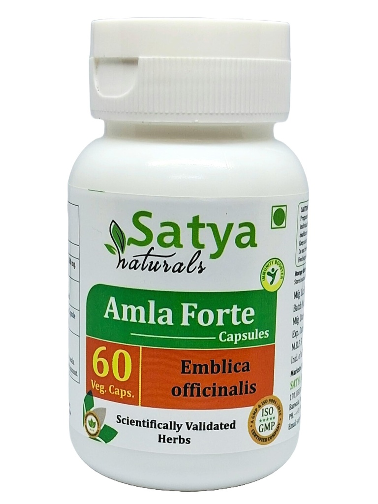 amla-capsule-60-capsules-500mg-emblica-o-4.jpg