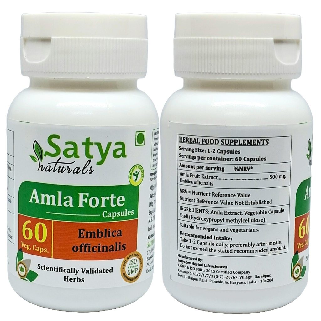 amla-capsule-60-capsules-500mg-emblica-o-2.jpg