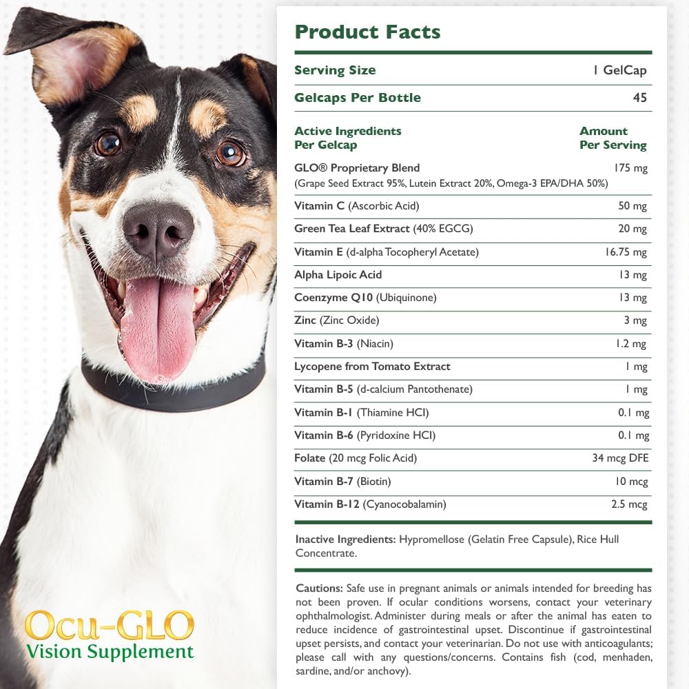ocu-glo-vision-supplement-for-small-dogs-3.jpg