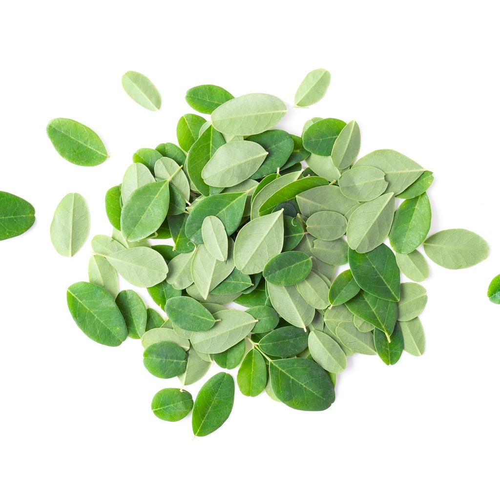 pure-original-ingredients-moringa-1lb-mo-3.jpg