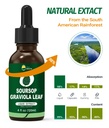 organic-soursop-graviola-leaf-extract-li-3.jpg
