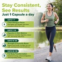 vahdam-moringa-capsules-1100mg-supports--5.jpg