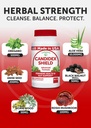 lunakai-usa-made-moringa-candidex-shield-4.jpg