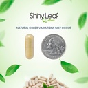 bariatric-multivitamin-iron-free-and-dht-4.jpg