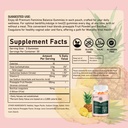 pineapple-gummies-for-women-ph-premium-f-2.jpg