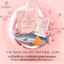 kumiko-collagen-premium-6.jpg