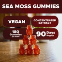 vitabod-irish-sea-moss-bladderwrack-gumm-4.jpg