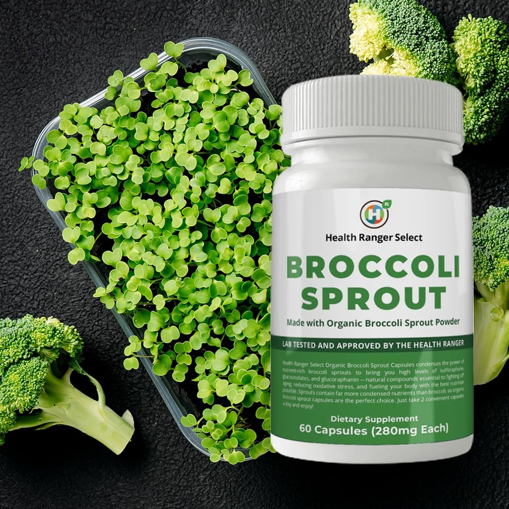 groovy-bee-broccoli-sprouts-60-capsules--6.jpg