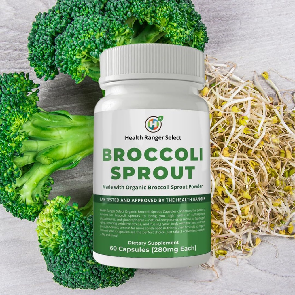 groovy-bee-broccoli-sprouts-60-capsules--4.jpg