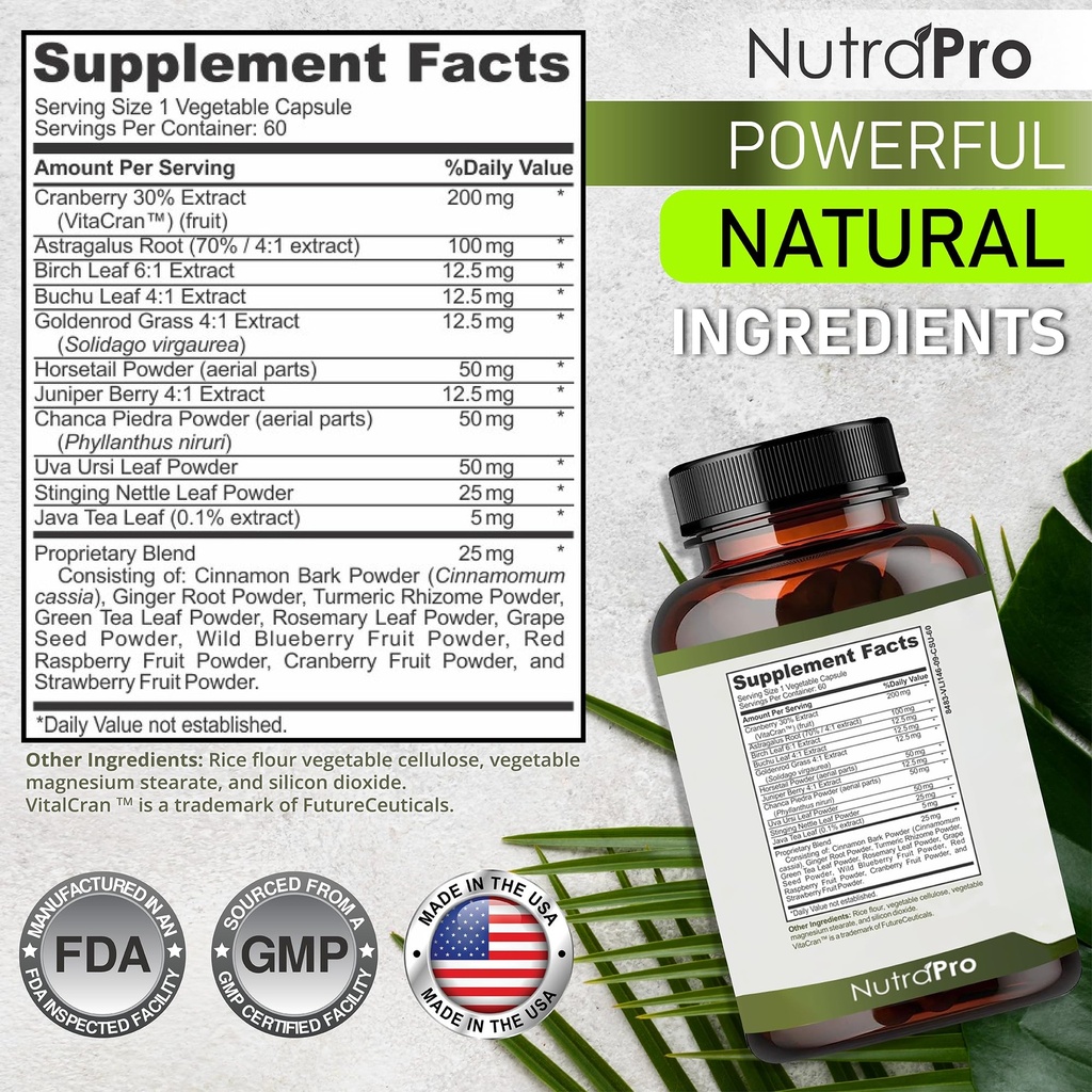 kidney-cleanse-detox-repair-and-bladder--6.jpg