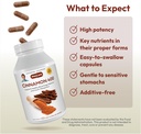 andrew-lessman-cinnamon-400mg---240-caps-4.jpg