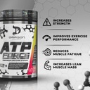 dragon-pharma-atp-force-enhanced-creatin-4.jpg