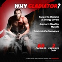 gladiator-capsules-and-pills-performance-4.jpg