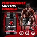 gladiator-capsules-and-pills-performance-3.jpg