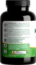transfer-point-moringa-oleifera-capsules-5.jpg