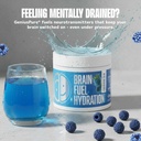 lithios-brain-fuel-plus-hydration-mix-30-3.jpg