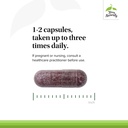 terry-naturally-europharma-tart-cherry-1-4.jpg