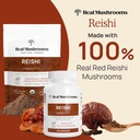real-mushrooms-peak-performance-bundle---4.jpg