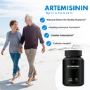 humanx-artemisinin-505mg-with-bioperine--3.jpg