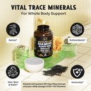 maju-superfoods-18-in-1-sea-moss-black-s-3.jpg