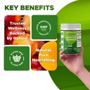 vitamatic-moringa-gummies-sugar-free-50--5.jpg