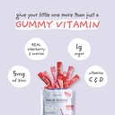 kids-immune-booster-with-elderberry-acer-3.jpg