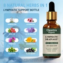 lymphatic-drainage-drops-fast-absorbing--6.jpg