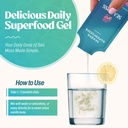 akasha-superfoods-irish-sea-moss-gel-lip-4.jpg