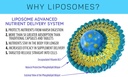 liposomal-glutathione-supplement---pure--3.jpg