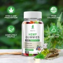 hemp-gummies-high-potency-for-sleep-pain-2.jpg