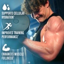 jacked-factory-glycerol-pump-powder-cell-4.jpg