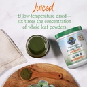 garden-of-life-raw-organic-perfect-food--4.jpg