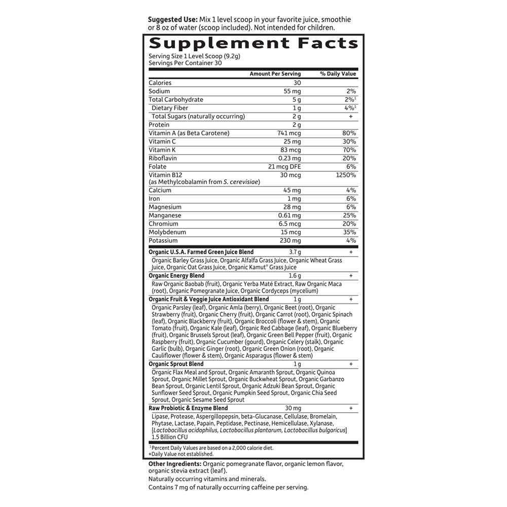 garden-of-life-raw-organic-perfect-food--6.jpg