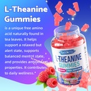 meenccd-l-theanine-gummies-400mg-sugar-f-4.jpg