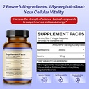 liife-benfotiamine-300mg-per-serving-wit-2.jpg
