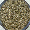 semen-cassiae-jue-ming-zi-250g-8-82oz-2.jpg