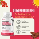 nature-s-fusions-dihydroberberine-200mg--2.jpg