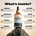 lymphatic-drainage-drops-supplement-for--3.jpg