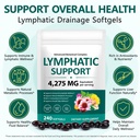 lymphatic-drainage-supplements-herbal-ly-3.jpg
