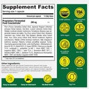 dr-ohhira-s-probiotics-original-formula--2.jpg