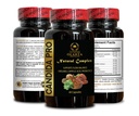 candida-support-complex-support-candida--4.jpg
