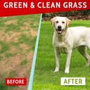 pawfectchew-dog-pee-grass-helper---grass-2.jpg