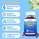 2-pack-quercetin-with-bromelain-gummies--3.jpg