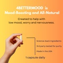 4bettermood-positivity-stamina-capsule-3-3.jpg