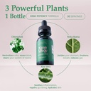 liquid-chlorophyll-drops-chlorophyll-wat-3.jpg